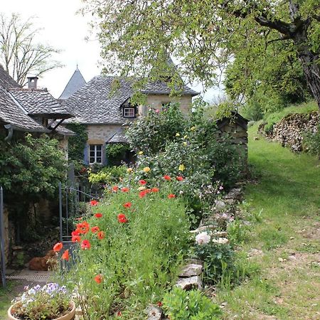 Les Terrasses De Labade Gite Et Chambres D'Hotes Coubisou 외부 사진