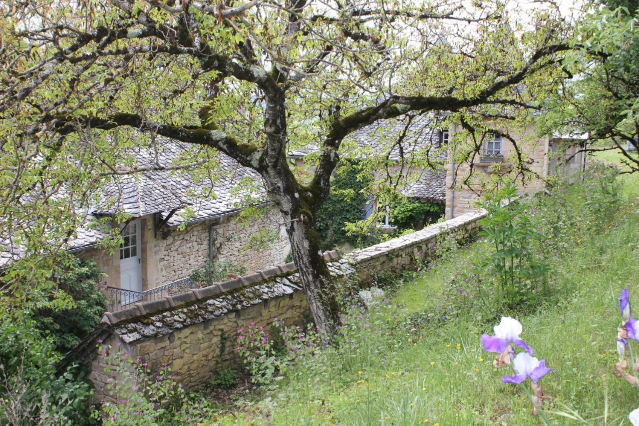 Les Terrasses De Labade Gite Et Chambres D'Hotes Coubisou 외부 사진